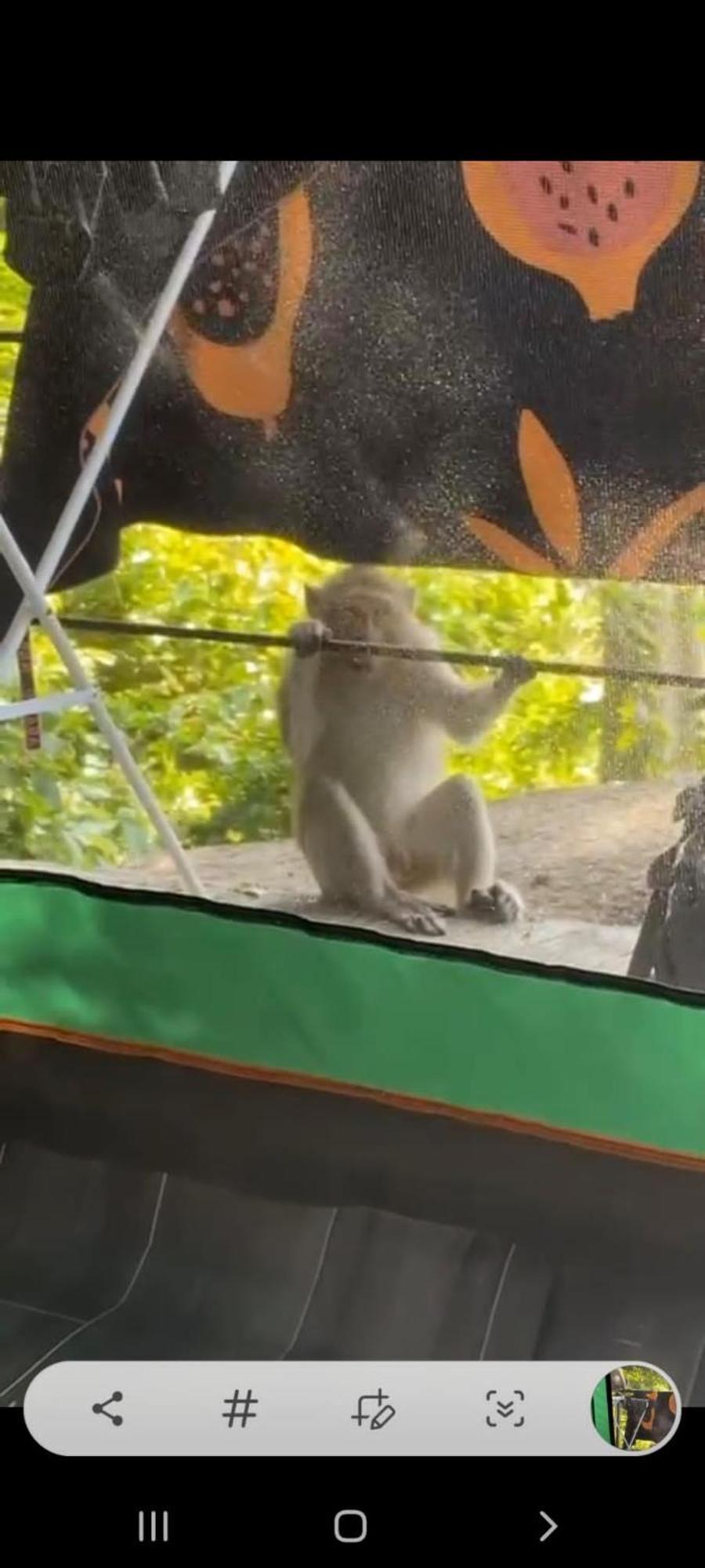 Joy Camping Hatrin Kültér fotó